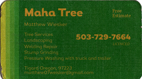 Maha Tree - Matthew Wiesker